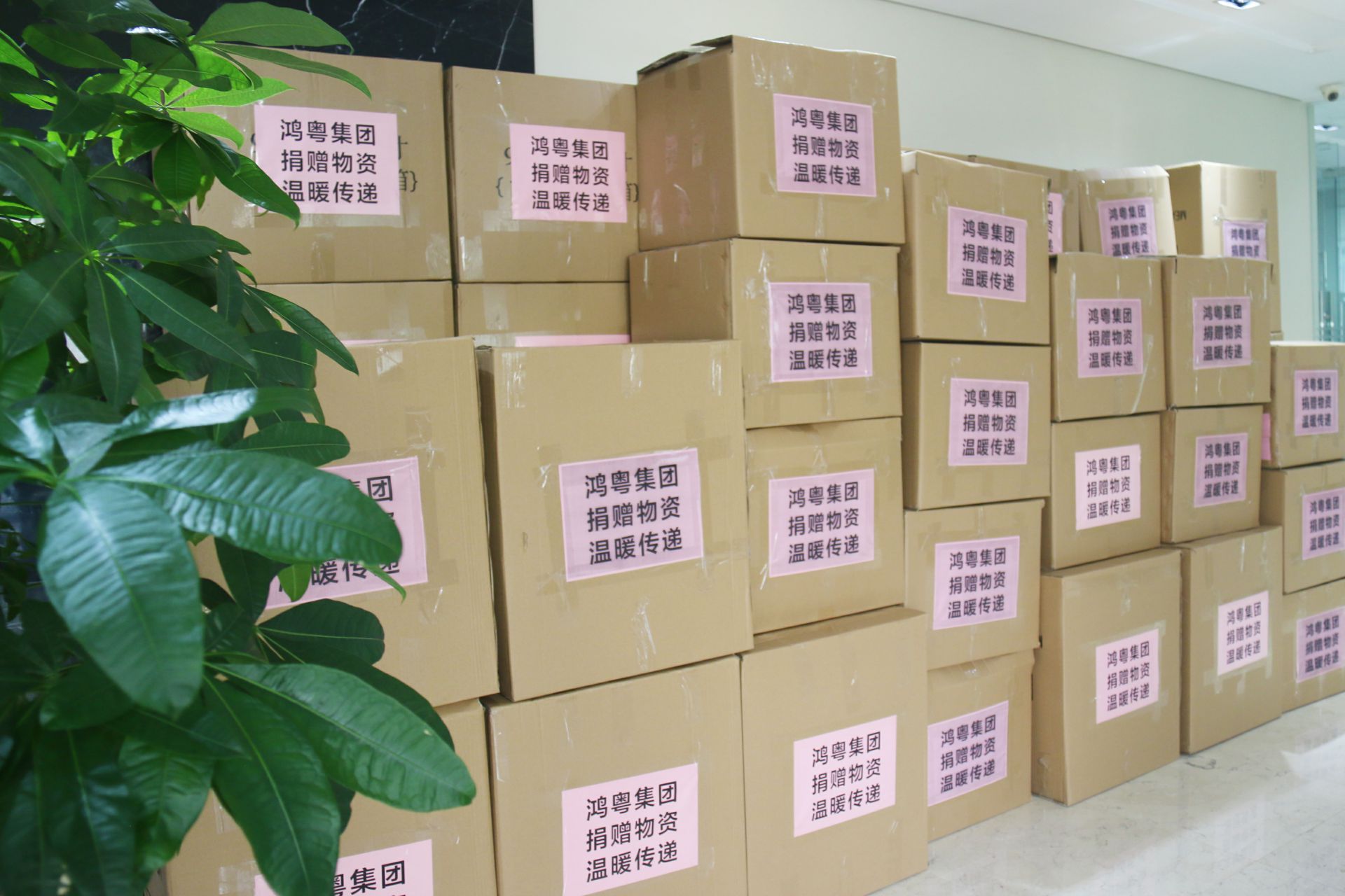 开云手机官方版在线入口-开云(中国)公益回顾丨家国同欢月同圆 温暖满载甘孜州(图1)